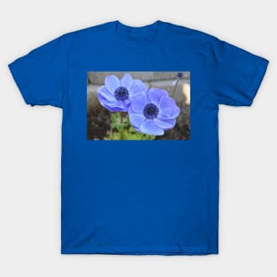 Blue Poppys T-Shirt